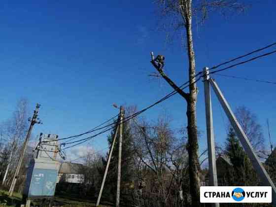 Спил деревьев любой сложности Луга