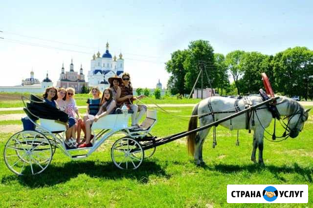 Прогулки, фотосессии, свадьбы, дни рождения Брянск - изображение 1