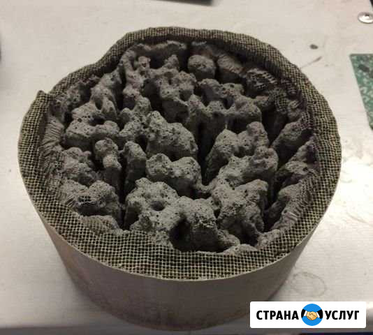 Удаление катализатора, Катализатор Сургут - изображение 1