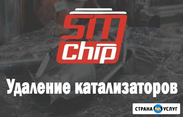 Удаление катализатора и сажевого фильтра Пенза - изображение 1