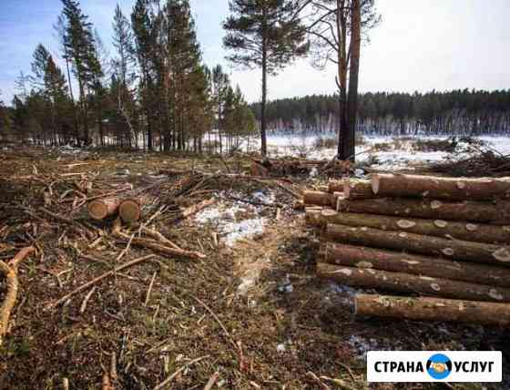 Бригада лесорубов с техникой Иркутск