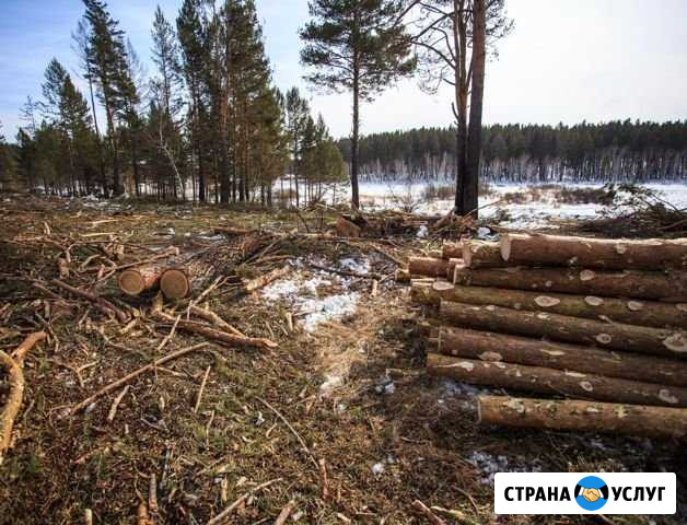 Бригада лесорубов с техникой Иркутск - изображение 1