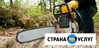 Спил деревьев и кустарников Минусинск - изображение 1