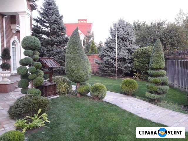 Озеленение, уход за участком Северская - изображение 1
