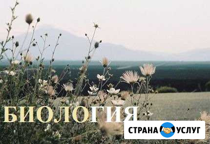 Репетитор по биологии для школьников и студентов Санкт-Петербург - изображение 1