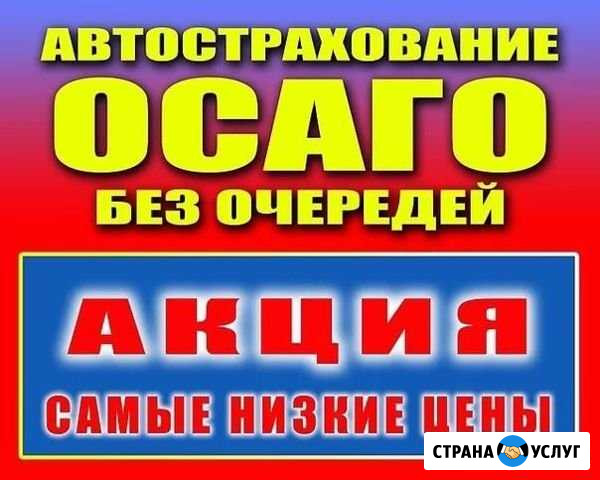 Осаго,каско,то и др Ростов-на-Дону - изображение 1
