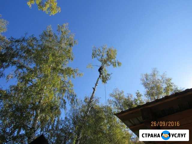 Пилим деревья любой сложности Убинское - изображение 1