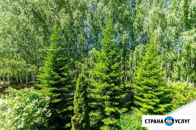 Гостиница Кошек и Собак-нужнонавремяоставитьпитомц Казань - изображение 1