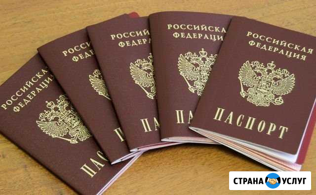 Помощь в получении гражданства РФ Новосибирск - изображение 1