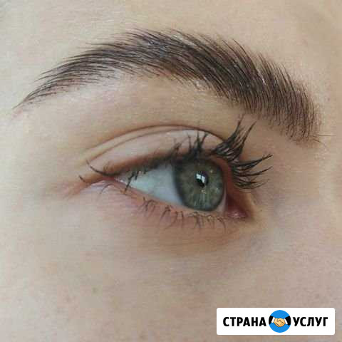 Окрашивание и коррекция бровей Челябинск - изображение 1