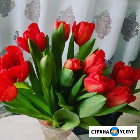 Стихи на заказ Новосибирск - изображение 1