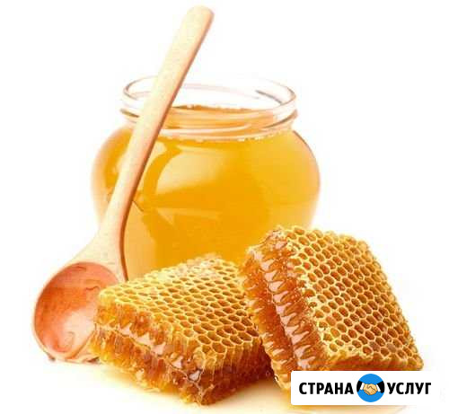Продам натуральный мёд Севастополь - изображение 1