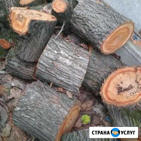 Распил дров, спил деревьев Бердск - изображение 1