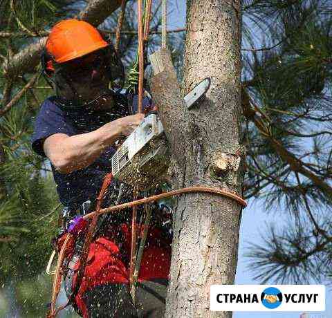 Спиливание.Покос травы.Уборка участков Сальск