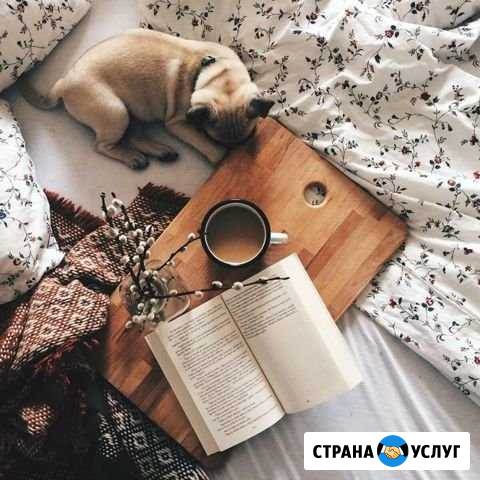 Посидим с вашим питомцем Челябинск - изображение 1