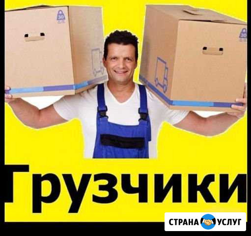 Грузчики/переезды/разнорабочие/подсобники/сборка м Краснодар - изображение 1