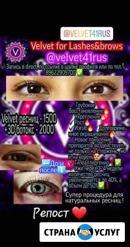 Velvet ресниц Петропавловск-Камчатский - изображение 1