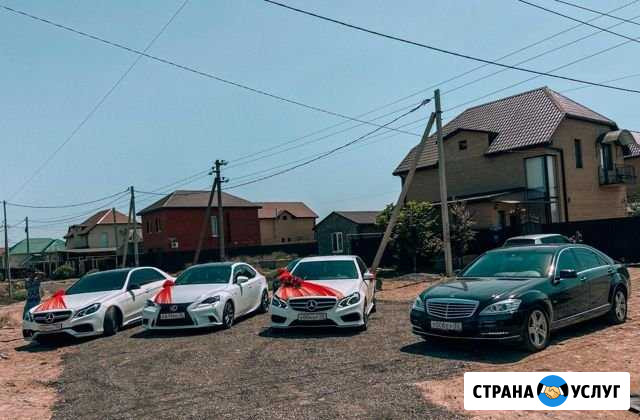 Аренда авто на свадьбу, бизнес авто Мерс Астрахань - изображение 1