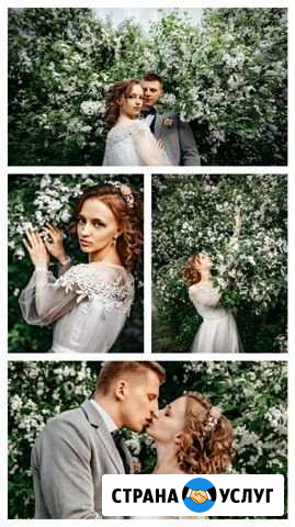 Фотограф Архангельск - изображение 1