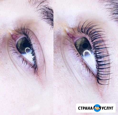 Ламинирование ресниц, velvet ресниц Новый Уренгой - изображение 1