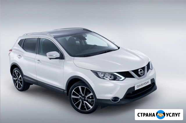 Аренда автор под рекламу Оренбург - изображение 1