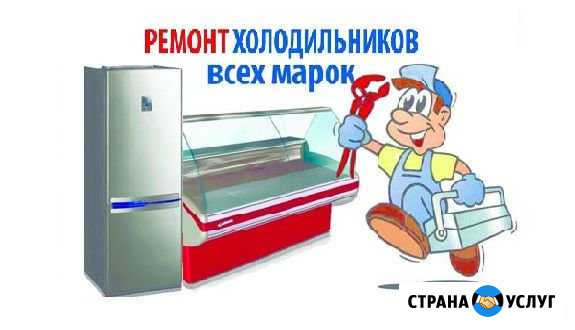 Ремонт холодильников на дому Гатчина - изображение 1