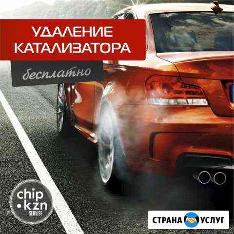Удаление катализатора чиптюнинг Казань