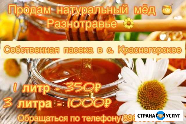Мёд Бийск - изображение 1