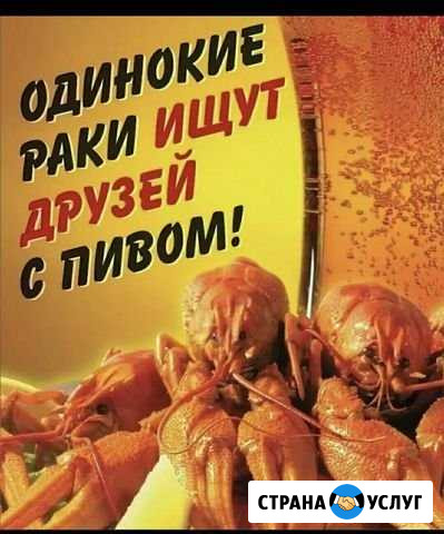 Раки живые Ставрополь - изображение 1