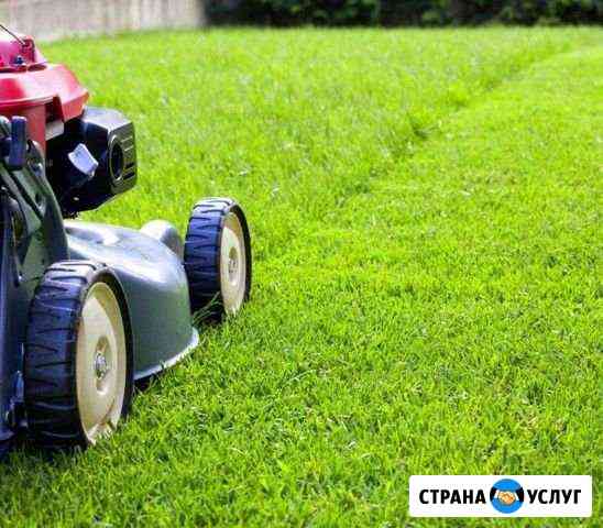 Стрижка газона/уборка приусадебных территорий Москва