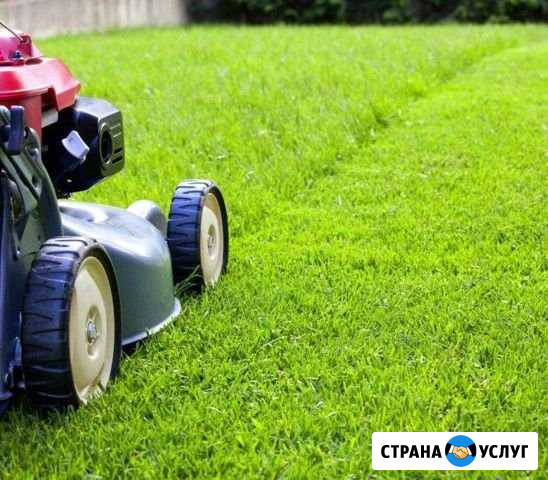 Стрижка газона/уборка приусадебных территорий Москва - изображение 1