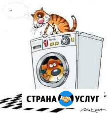 Ремонт стиральных, посудомоечных и сушильных машин Симферополь - изображение 1