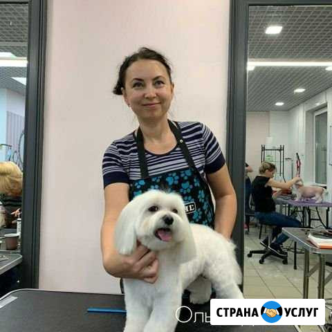 Стрижка собак и кошек Красноярск - изображение 1