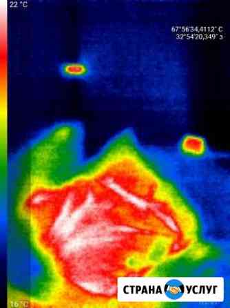 Тепловизионная съемка Мончегорск