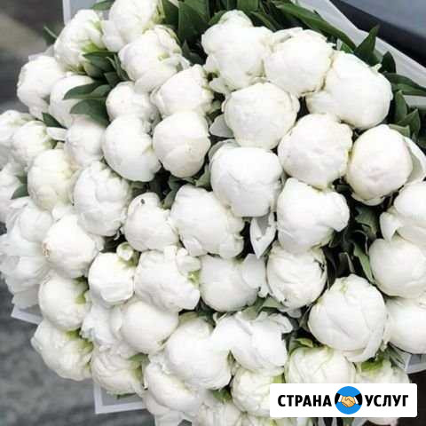 Массаж Химки - изображение 1