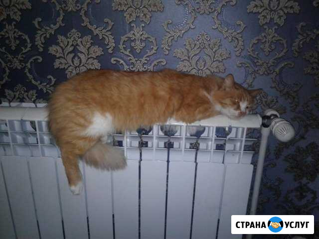 Отопление Белгород Белгород - изображение 1