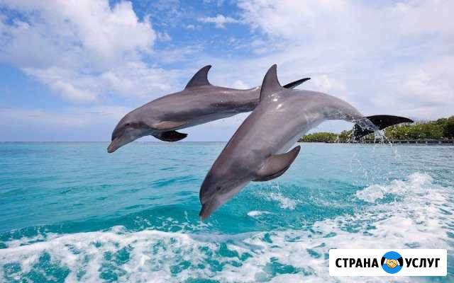 Я готова стать Вашим Риэлтором Севастополь - изображение 1