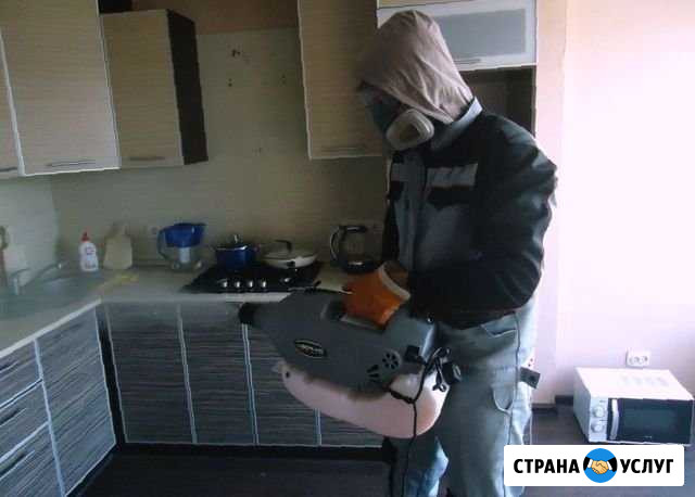 Уничтожение плесени, тараканов, клопов, запахов Хабаровск - изображение 1