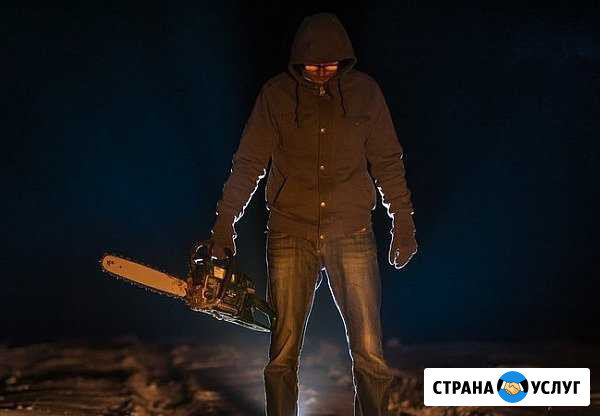 Спил деревьев любой сложности Невинномысск - изображение 1