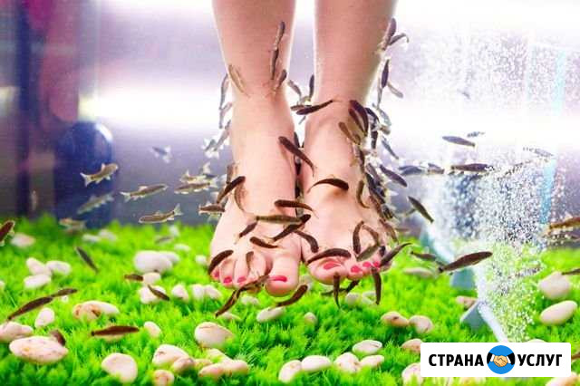 Fish-пилинг Камень-на-Оби - изображение 1