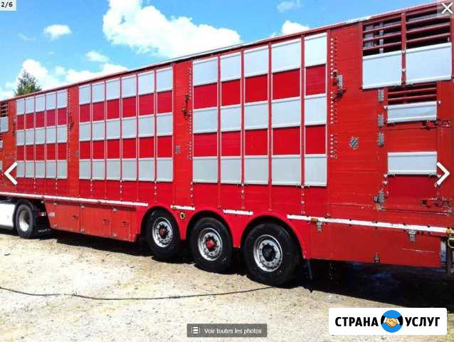 Скотовоз 1.2.3 этажа Онгудай - изображение 1