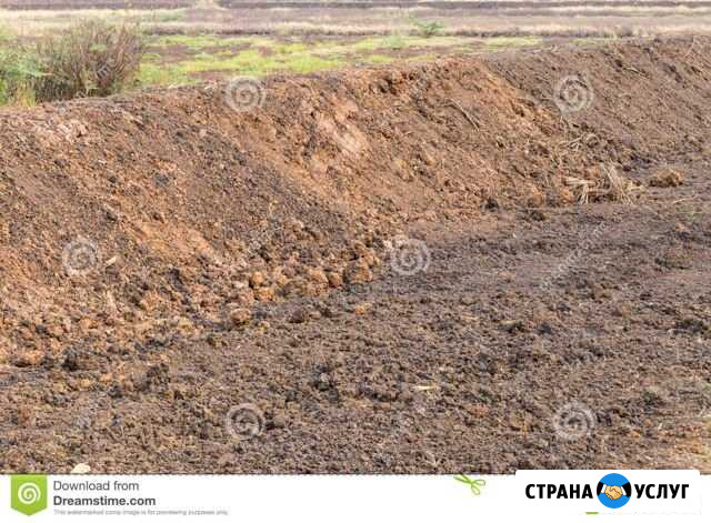 Приму грунт Орёл - изображение 1