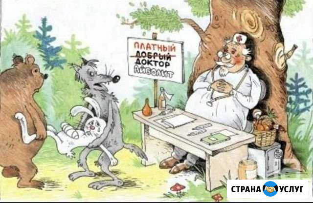 Вызов ветеринарного врача Новосибирск - изображение 1