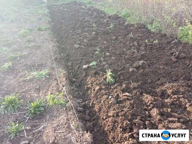 Вспашем огород мотолебёткой плугом Воткинск - изображение 1