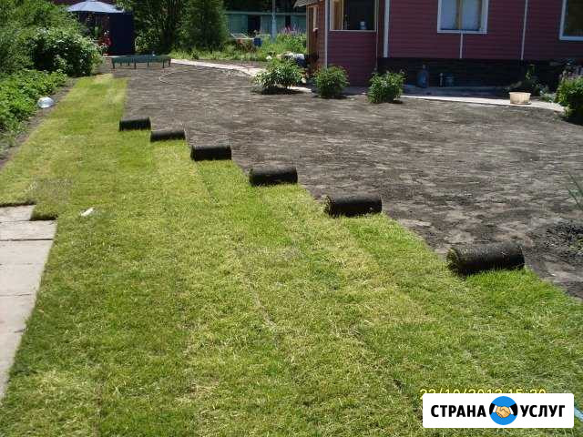 Благоустройство и озеленение. Рулонный газон Новосибирск - изображение 1