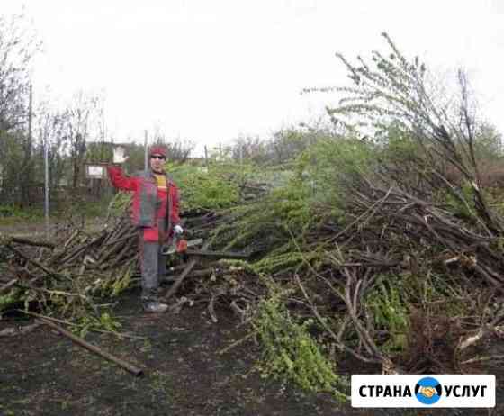 Расчистка участков спил деревьев Петрозаводск