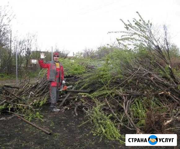 Расчистка участков спил деревьев Петрозаводск - изображение 1