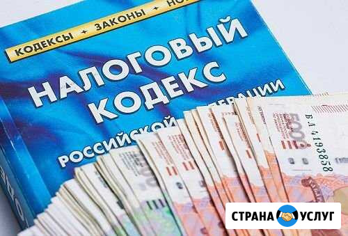Налоговый юрист Воронеж - изображение 1