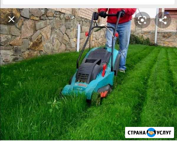 Стрижка газона Орехово-Зуево - изображение 1
