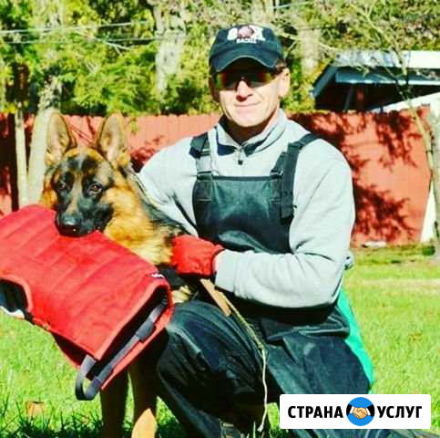Дрессировка собак профессиональный кинолог Казань - изображение 1